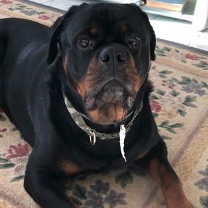 Meet your Posher, Kim